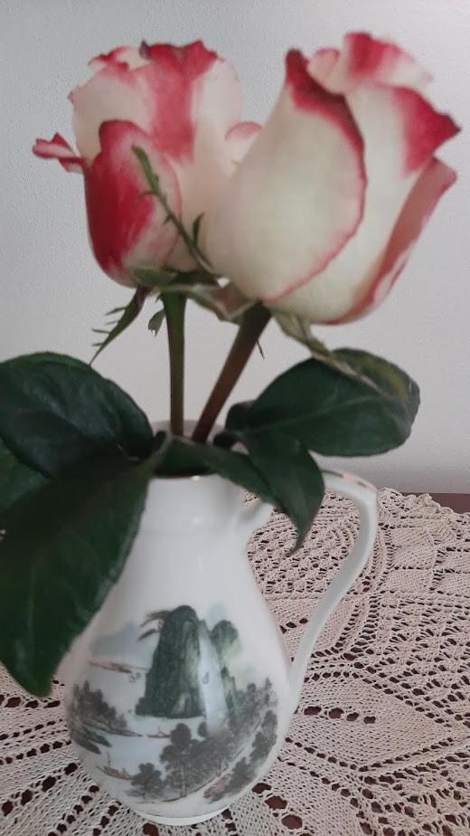 Appartamento U Mna Doma Lucatin Esterno foto